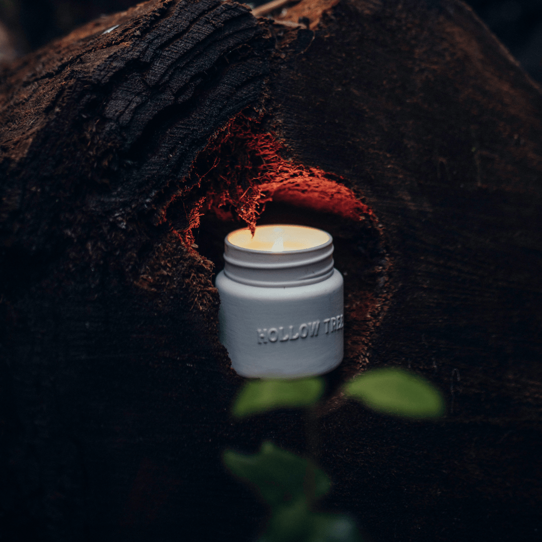 Hollow Tree Candle - Threshold Collective
