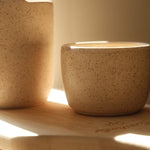 Fernly Ceramic Mug - Threshold Collective
