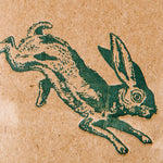 LVC Sunshine - Threshold Collective