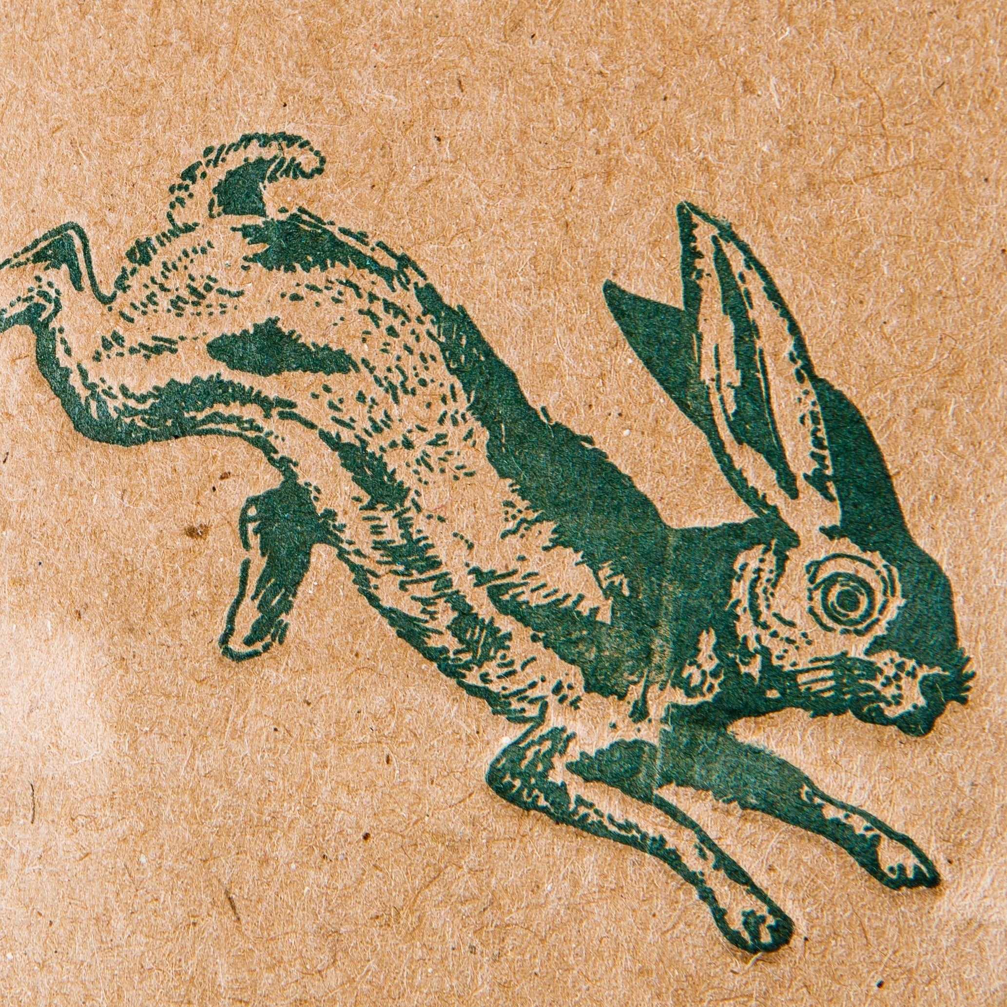 LVC Sunshine - Threshold Collective