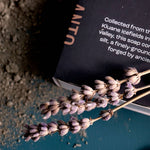 Glacial Silt Wild Harvest Bar Soap - Threshold Collective