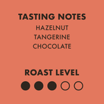 Smoking Gun Thoroughbred Instant Coffee Box - Threshold Coffee